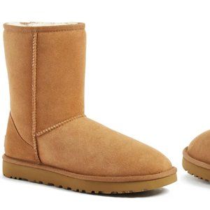 Chestnut Uggs